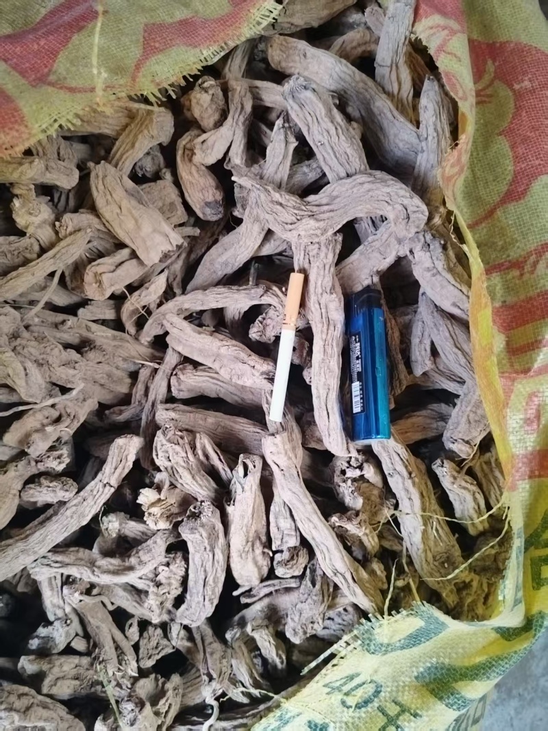 玄参毛条子