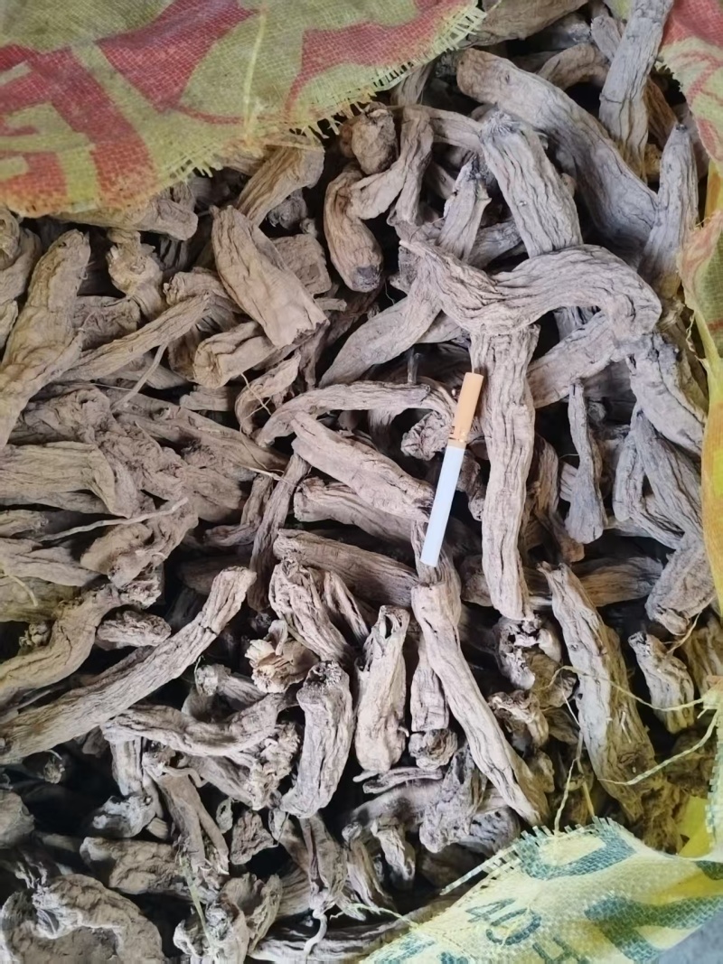 玄参毛条子
