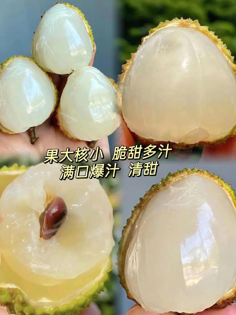 果肉鲜美精品荔枝海南妃子笑爆汁的甜产地直发