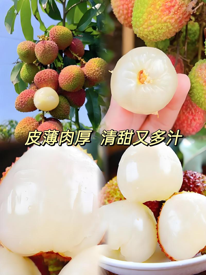 果肉鲜美精品荔枝海南妃子笑爆汁的甜产地直发