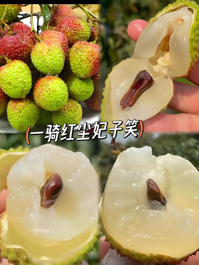 果肉鲜美精品荔枝海南妃子笑爆汁的甜产地直发