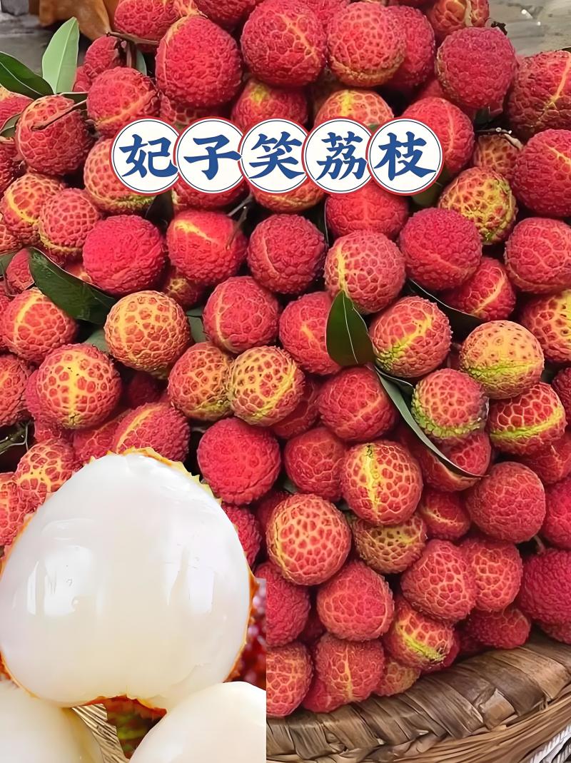 果肉鲜美精品荔枝海南妃子笑爆汁的甜产地直发