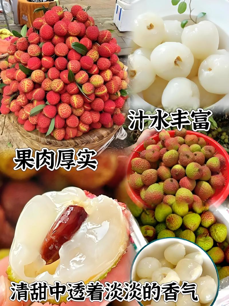 果肉鲜美精品荔枝海南妃子笑爆汁的甜产地直发