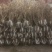 结香球冠幅:1m、1.2m、1.5m、1.8m，欢迎订购