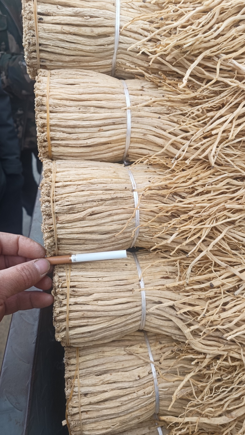 白条党参