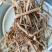 贵州野生土牛膝倒扣草柳叶牛膝一手货源产地直发