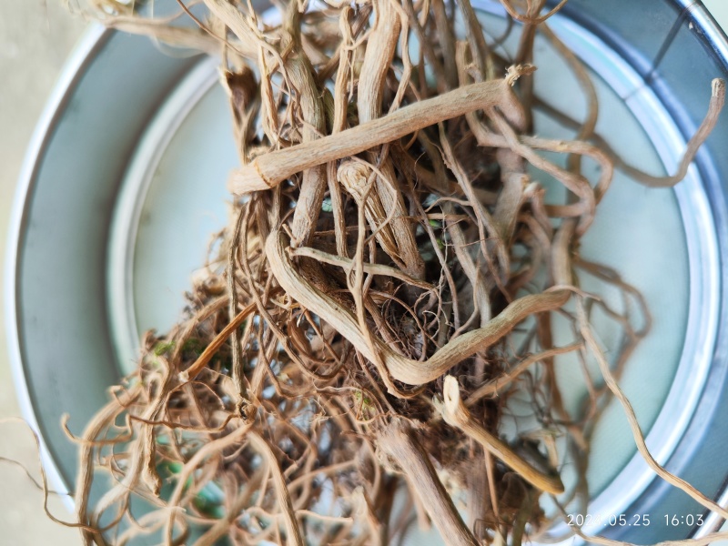 贵州野生土牛膝倒扣草柳叶牛膝一手货源产地直发