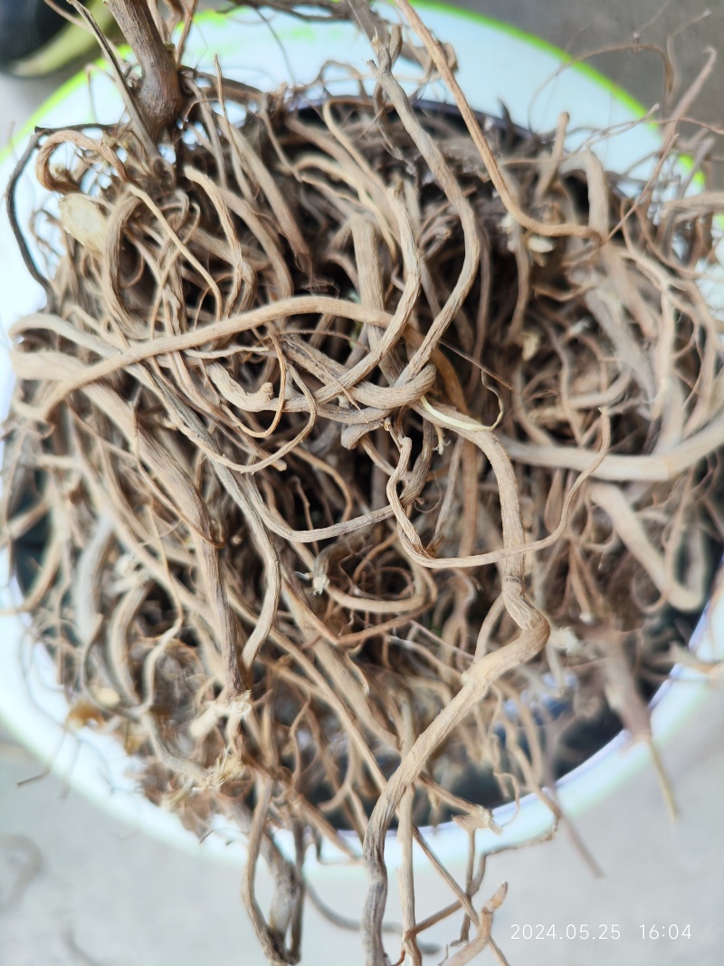 贵州野生土牛膝倒扣草柳叶牛膝一手货源产地直发