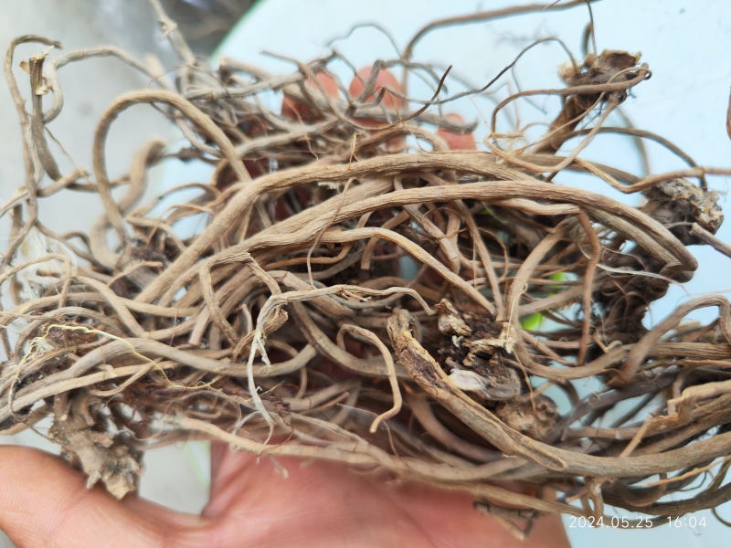 贵州野生土牛膝倒扣草柳叶牛膝一手货源产地直发