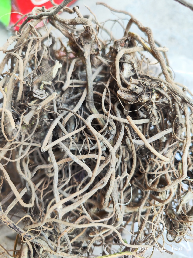 贵州野生土牛膝倒扣草柳叶牛膝一手货源产地直发