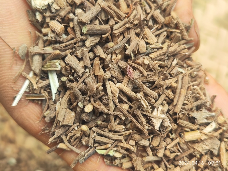贵州野生土牛膝倒扣草柳叶牛膝一手货源产地直发