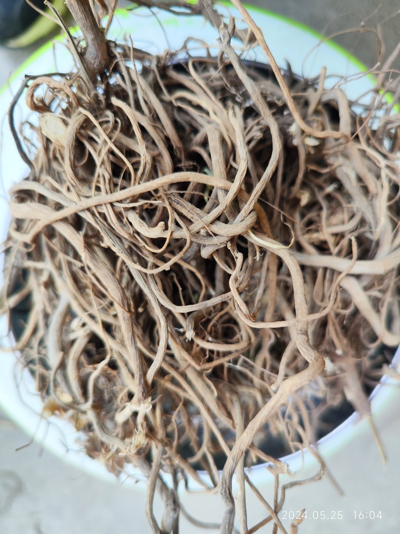 贵州野生土牛膝倒扣草柳叶牛膝一手货源产地直发
