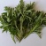 野生艾草小叶艾草清明团