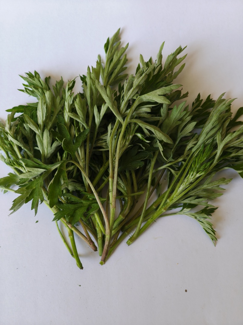野生艾草小叶艾草清明团