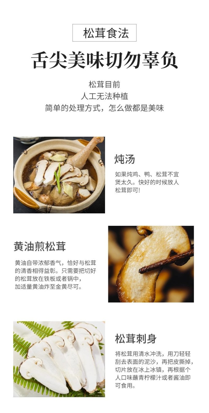川西高原野生鲜松茸未开伞5-7cm精品，支持一件代发