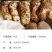川西高原野生鲜松茸未开伞5-7cm精品,支持一件代发