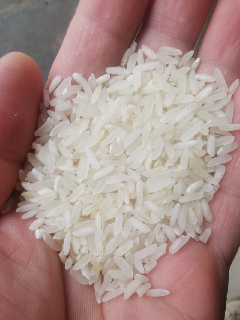 陈丰良优***********