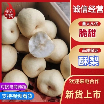 《实力》蒲城纸袋酥梨大量上市中，口感脆甜，皮薄汁多，细砂