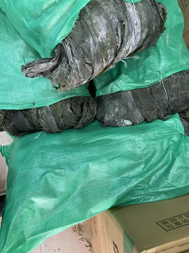 海带干海带干海带干海带丝烘干水洗海带丝海带皮
