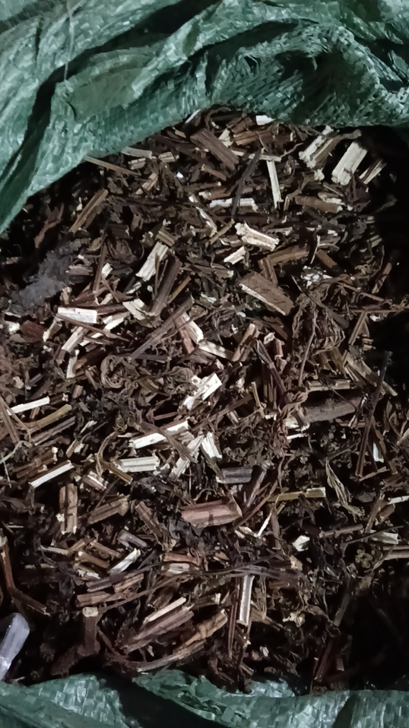 苦溪黄草有条装/切片有大量货源，有意者请致电