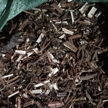 苦溪黄草有条装/切片有大量货源，有意者请致电