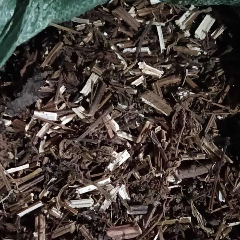 苦溪黄草有条装/切片有大量货源，有意者请致电