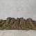 贵州高山蕨菜