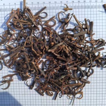 【双钩藤】百分之95钩地道药材大量有货质优价廉