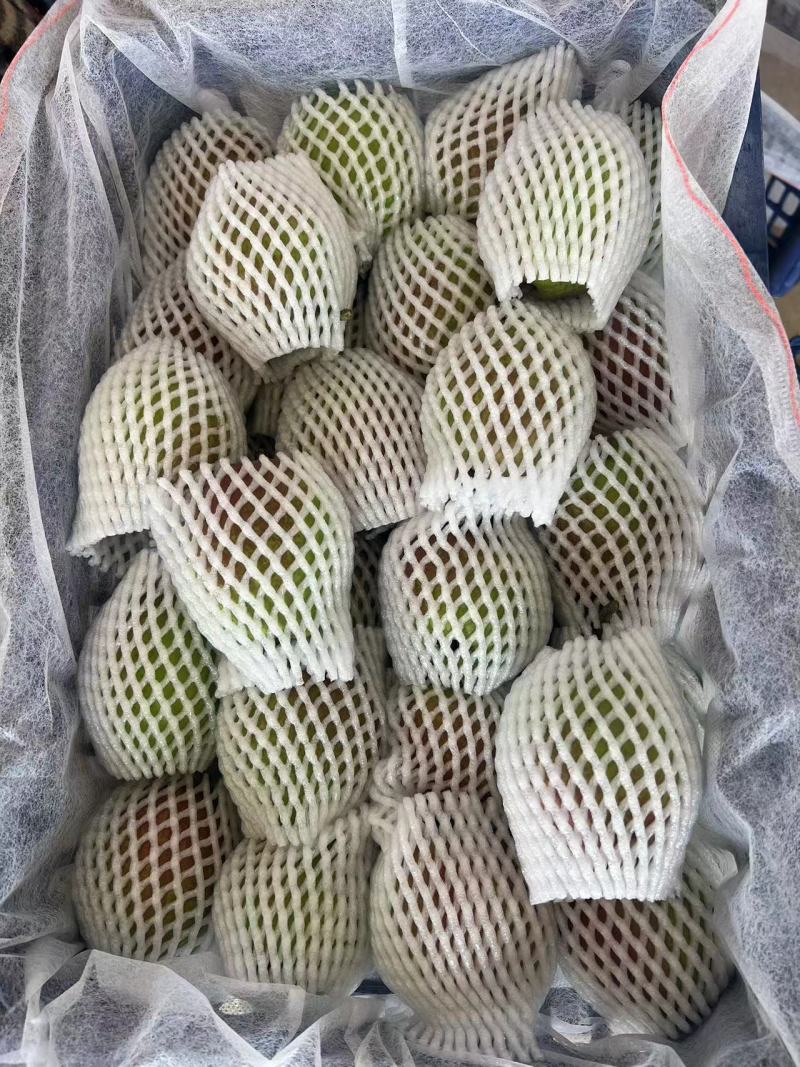 河北新梨七号香梨，优质产区，土壤，气候适宜，