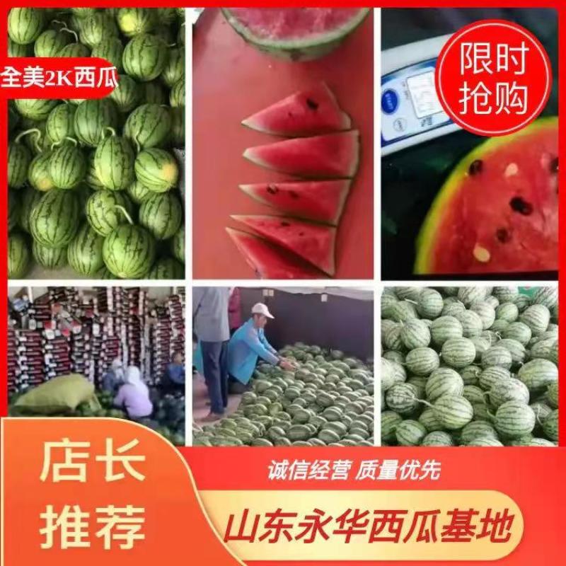 早春红玉头茬瓜，产地直供，支持看货保质保量原棚直供