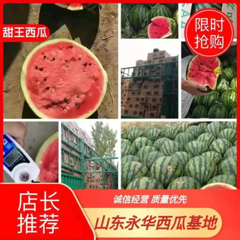 早春红玉头茬瓜，产地直供，支持看货保质保量原棚直供