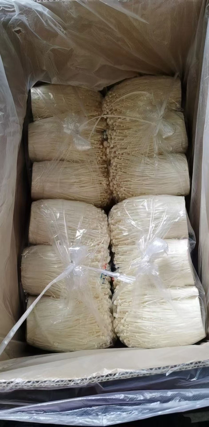 金针菇A菇