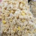 熟玉米饲料，真空包装，（可代替玉米）。