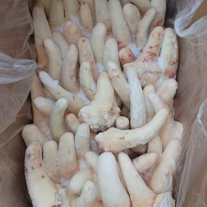 母猪中尾