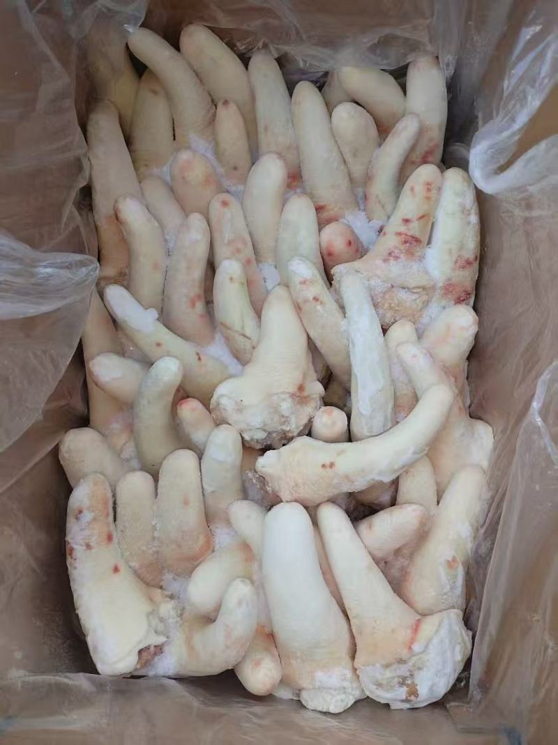 母猪中尾