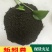 蚯蚓粪花卉种植发酵腐熟