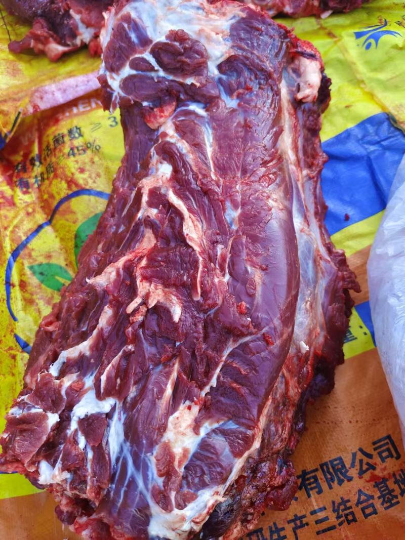 内蒙精品牛肉，货源充足，产地直发，诚信经营，欢迎客商来电