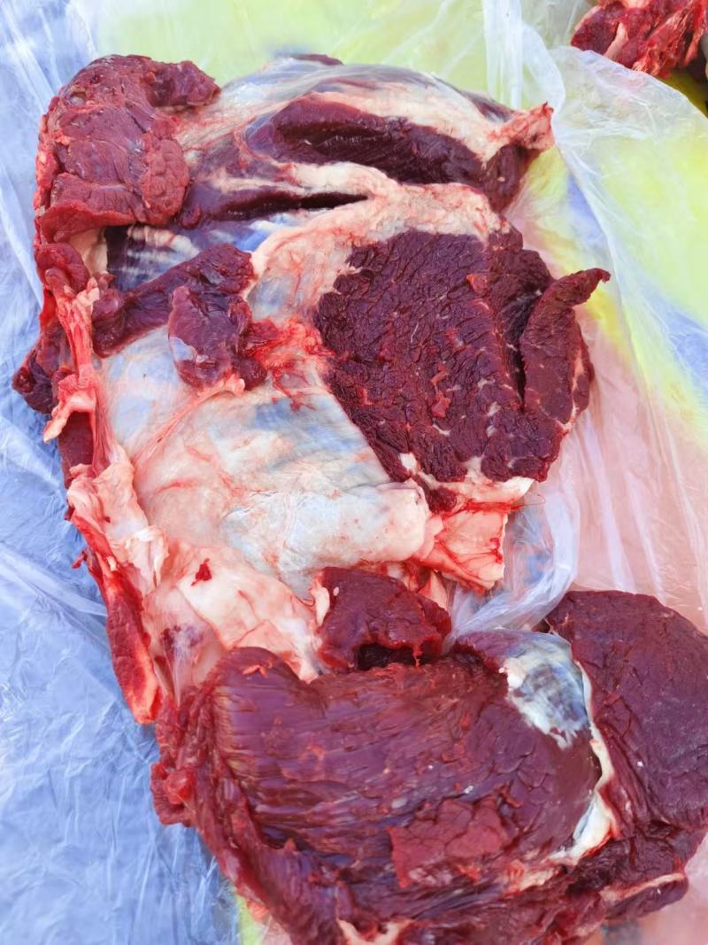 内蒙精品牛肉，货源充足，产地直发，诚信经营，欢迎客商来电