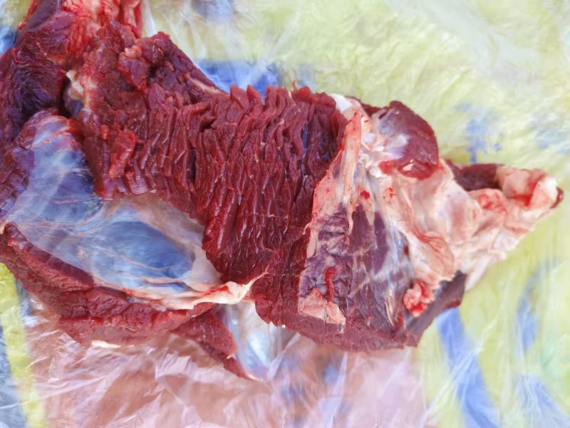 内蒙精品牛肉，货源充足，产地直发，诚信经营，欢迎客商来电