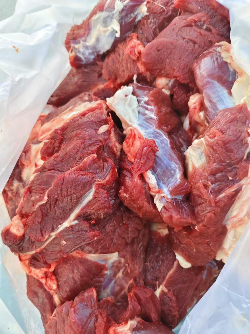 内蒙精品牛肉，货源充足，产地直发，诚信经营，欢迎客商来电