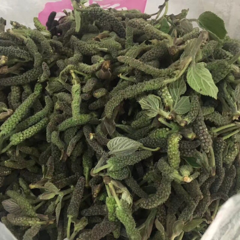 构树穗