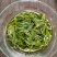 特价清仓恩施富硒茶明前春茶口粮茶烘青绿茶