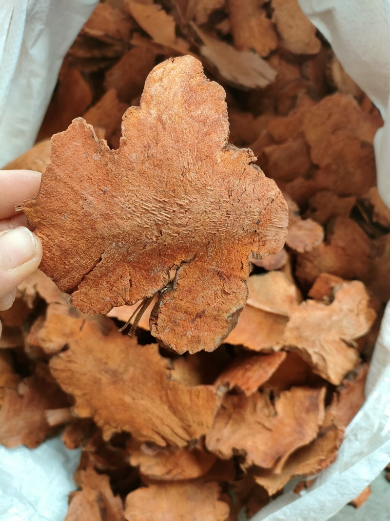深山土茯苓，量大优惠产地一手货源支持视频看货