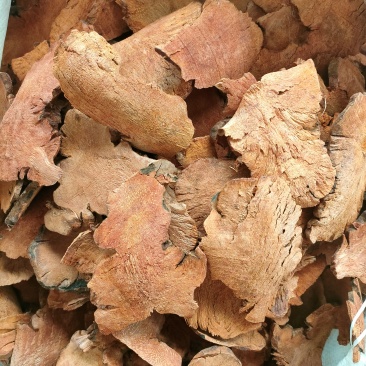 深山土茯苓，量大优惠产地一手货源支持视频看货
