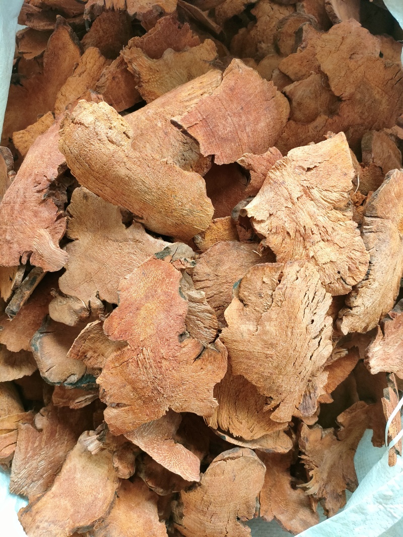 深山土茯苓，量大优惠产地一手货源支持视频看货