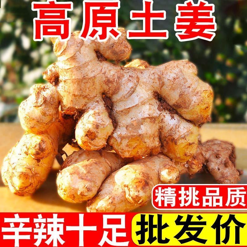 【精选】贵州生姜小黄姜量大从优对接商超团购供应链一条龙服