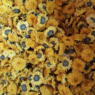 菊花胎菊野菊花金丝贡菊各类花茶食用茶种类齐全