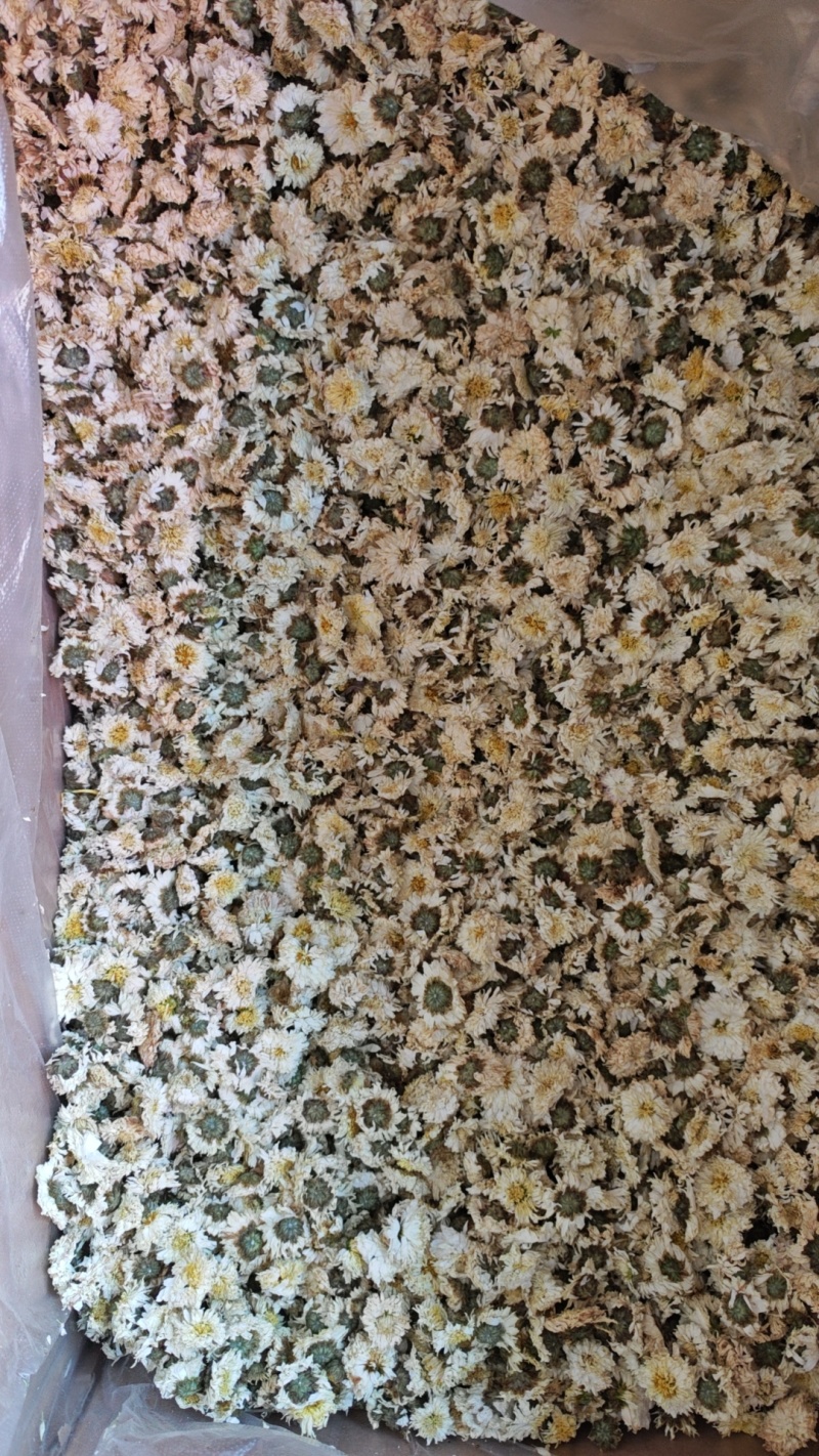 菊花胎菊野菊花金丝贡菊各类花茶食用茶种类齐全