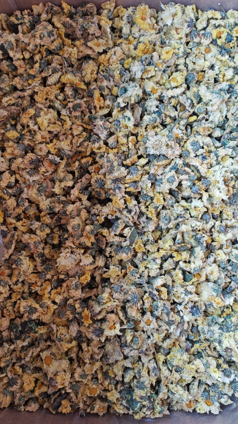 菊花胎菊野菊花金丝贡菊各类花茶食用茶种类齐全