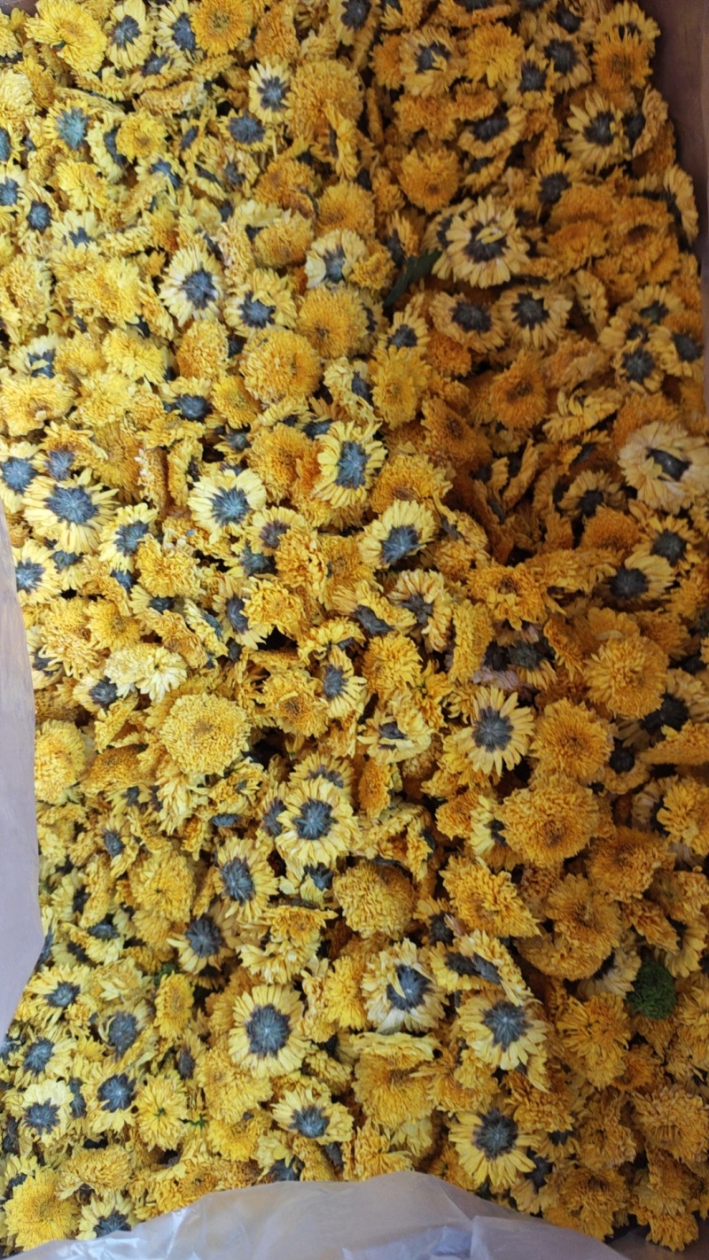 菊花胎菊野菊花金丝贡菊各类花茶食用茶种类齐全